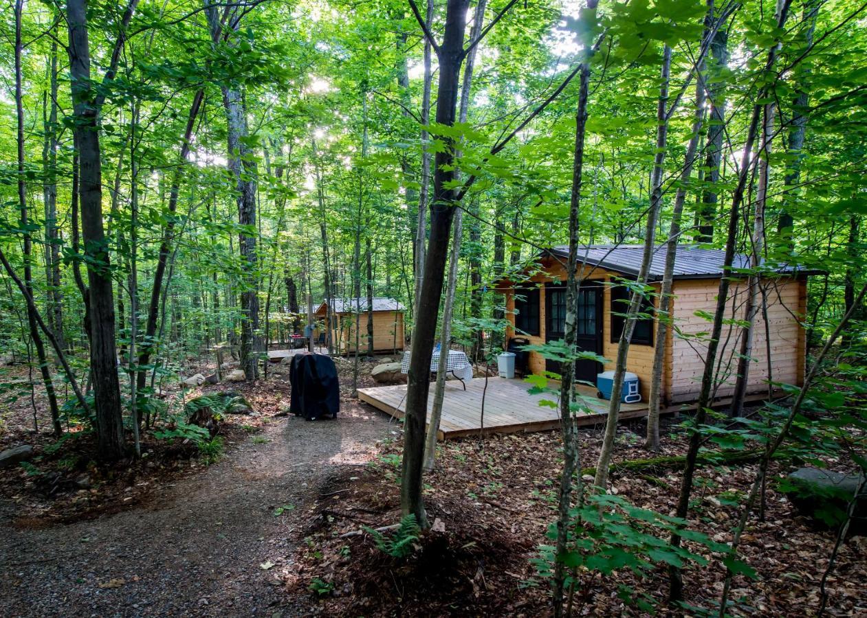 Madawaska Lodge-Cottage Exteriér fotografie